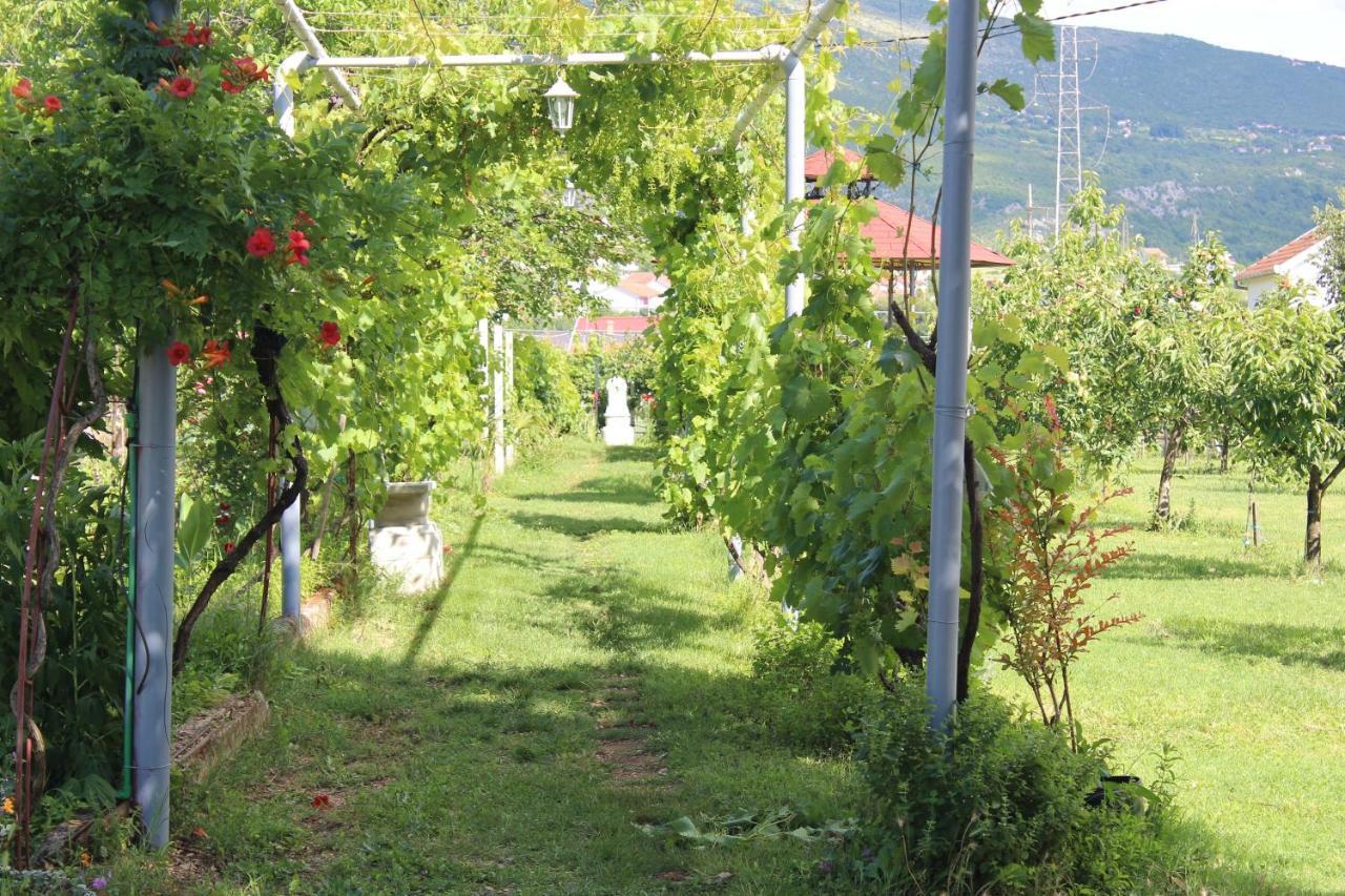 Villa Casa Botanica Blagaj Exterior foto